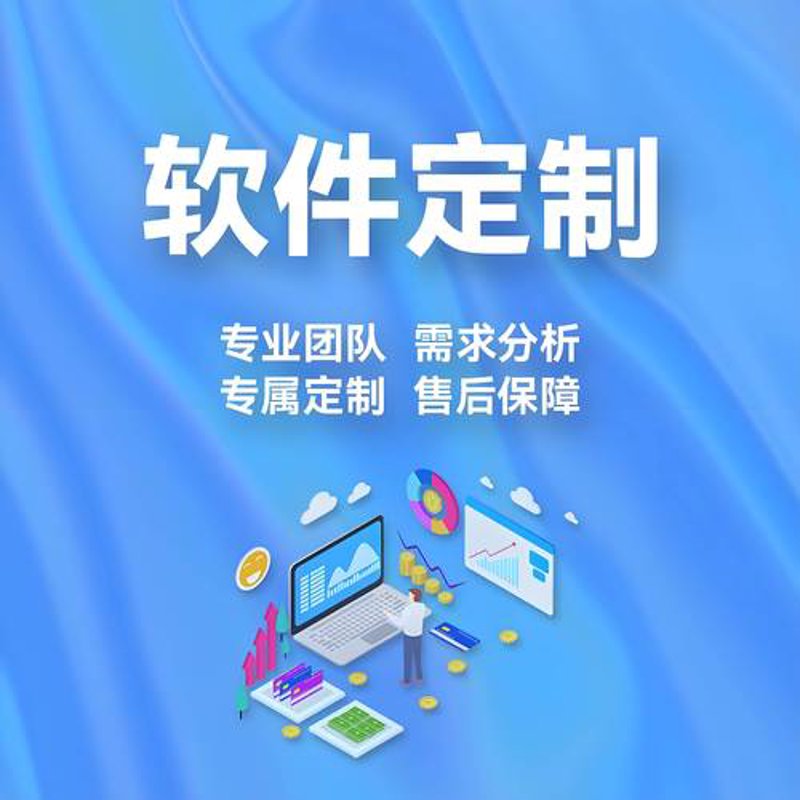 软件定制开发：构建企业专属利器
